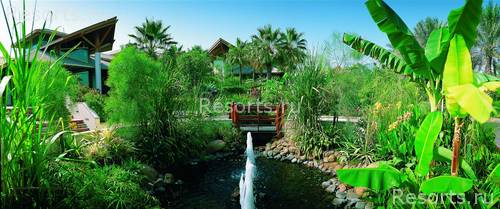 Jumeirah Beach Club Resort & Spa 7